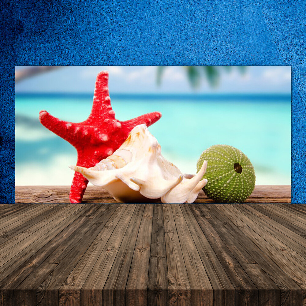 Tulup Paneles en vidrio de pared Cocina con frente Cristal 120x60 Concha marisco