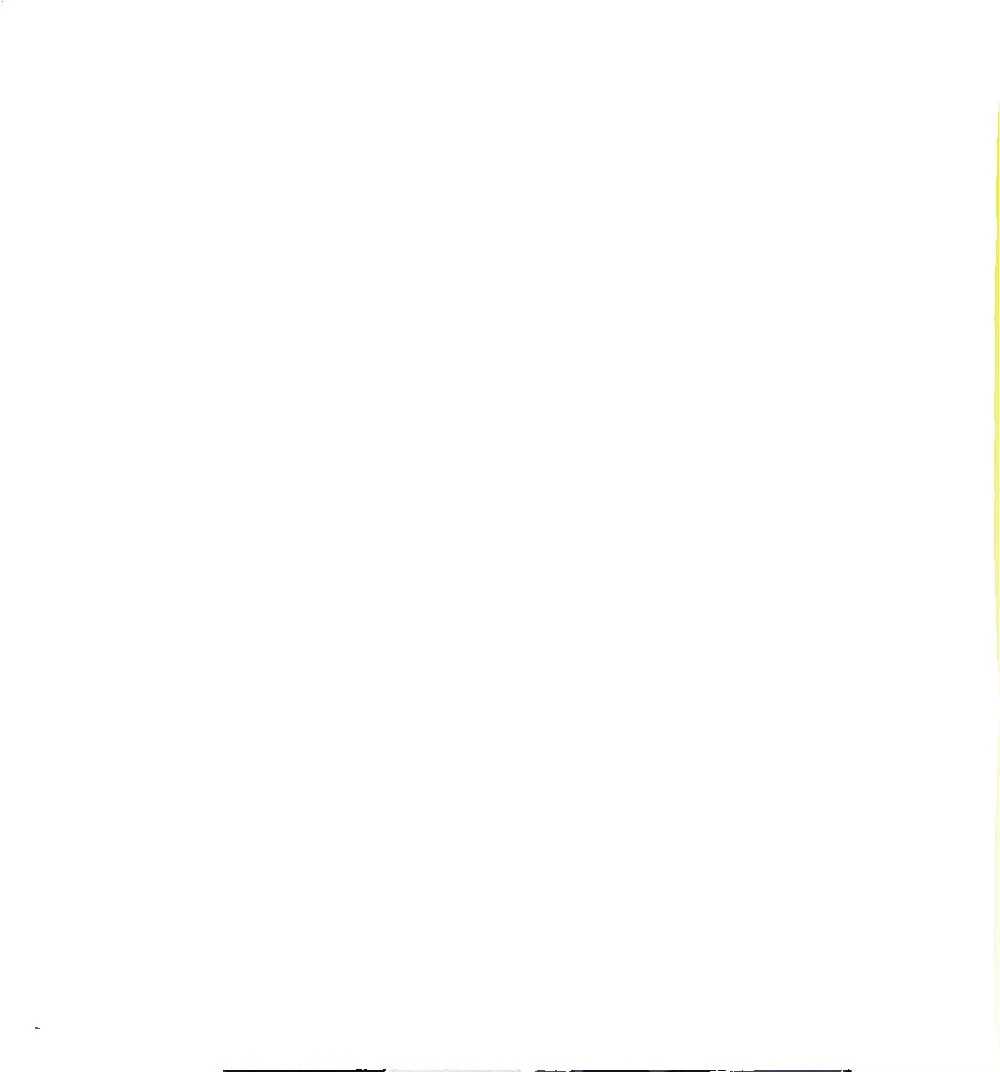 G Rated Collector's Edition DVDs