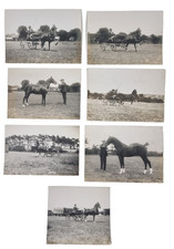 W.A. Rouch Original Photographs x7 Combined Driving Horse Carriage Cart VGC