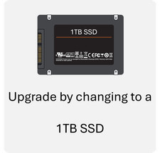 Upgrade to 1TB SSD