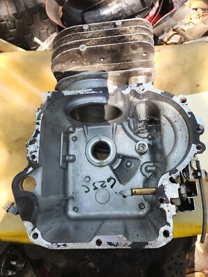 Briggs 21B807 BLOCK CRANKCASE 697377 MURRAY