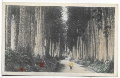 AN OLD ROAD VINTAGE POSTCARD 1A30 UNPOSTED UNDIVIDED BACK