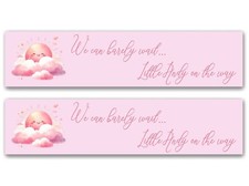 2 x Banners Personalizados Bebé en Camino Recién Nacido - Cualquier Nombre, Edad y Ocasión