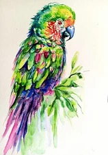 Colorful green parrot pet Bird art Original painting,interior design size 10x8"