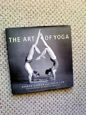 The Art of Yoga by Sharon Gannon