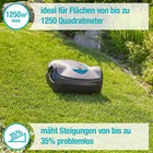 Bild 2 von 7