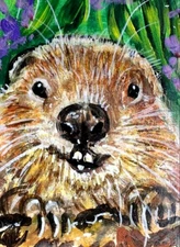 ORIGINAL ACEO Painting GROUNDHOG SPRING Marmot Animal Flower Nature ATC ART