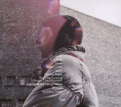 ALDOUS HARDING - WARM CHRIS   CD NEU