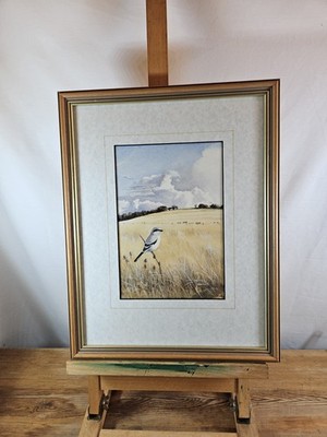 THE GREAT GREY SHRIKE VON JOHN COX AQUARELL GESELLSCHAFT DER WILDTIERKÜNSTLER RSPB