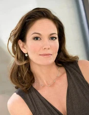 Diane Lane Wearing Gray Dress 8x10 PHOTO PRINT