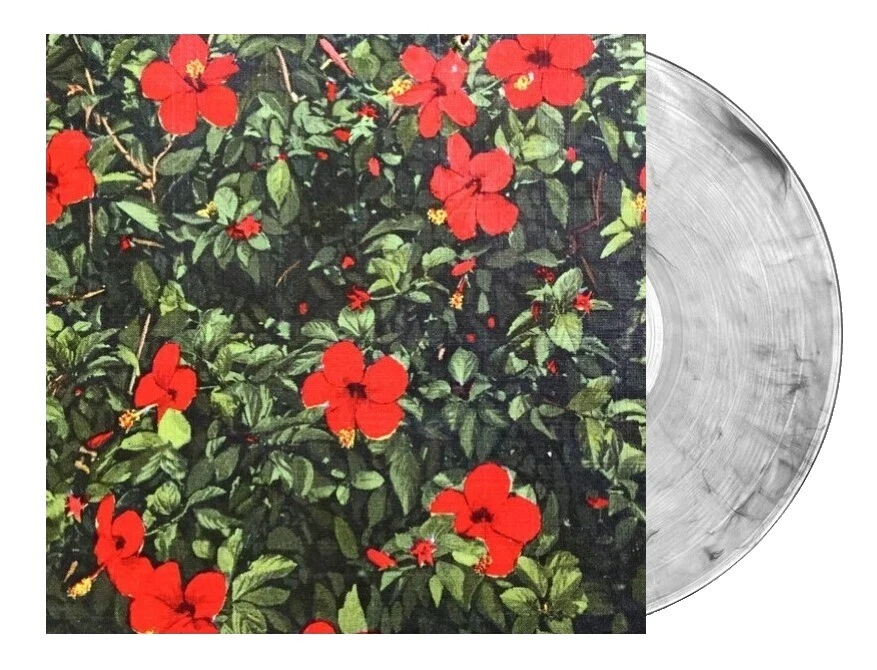 Discos de vinilo en vivo de país