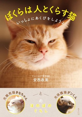 Katzen leben mit Menschen: Lasst uns gemeinsam gähnen