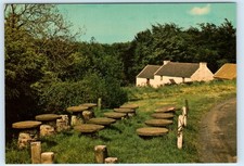 In the Grounds of Ulster Folk Museum - Belfast - Northern IRELAND 4x6 Postcard