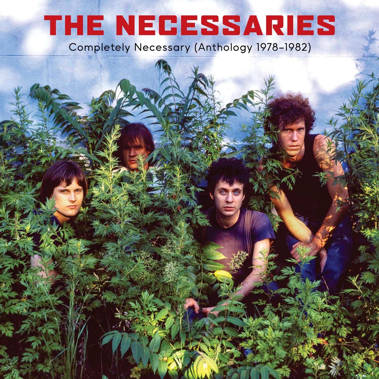 Necessaries Completely Necessary (Anthology 1978-1982) Double CD NEW