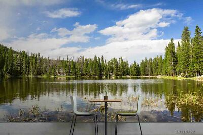 3D Sky Forest Lake Landscape Wallpaper Wall Murals Removable Wallpaper 61