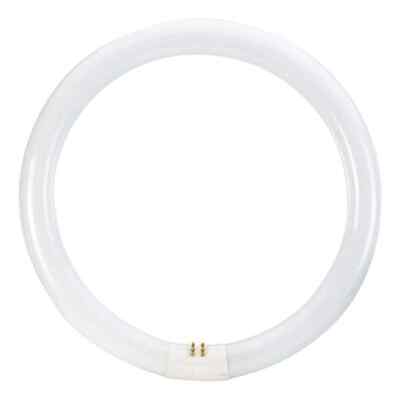 32-watt 12 In. Linear T9 Circline Fluorescent Tube Light Bulb Bright White (30