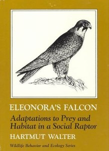 Details About Eleonoras Falcon Adaptations To Prey And Habitat In A Social Raptor Exlibrary