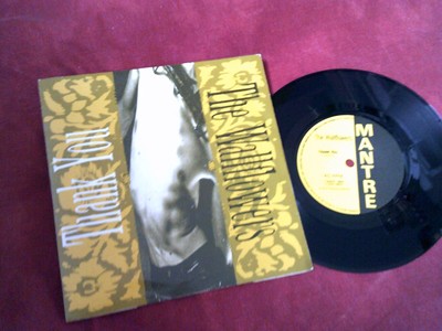 THE WALLFLOWERS Thank you 7'' 1990's INDIE