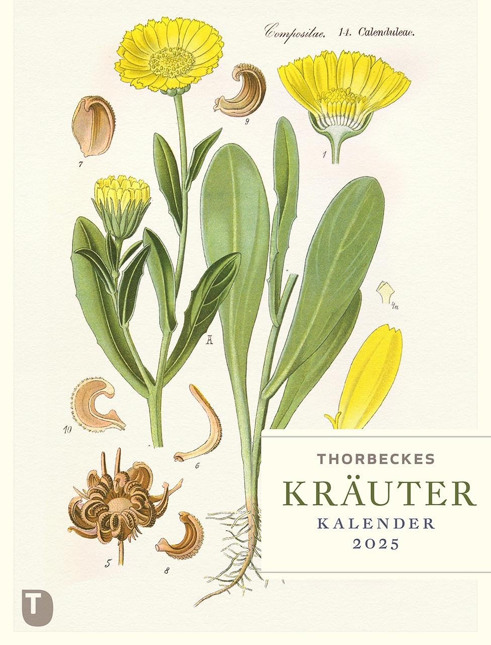 Thorbeckes Kräuter-Kalender 2025 (V2Y)