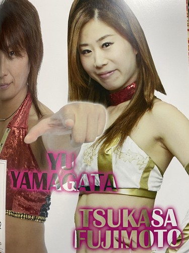 2015 Pro Wrestling WAVE Program Asuka Kana Hikaru Shida Japan Women WWE AEW - Picture 10 of 11