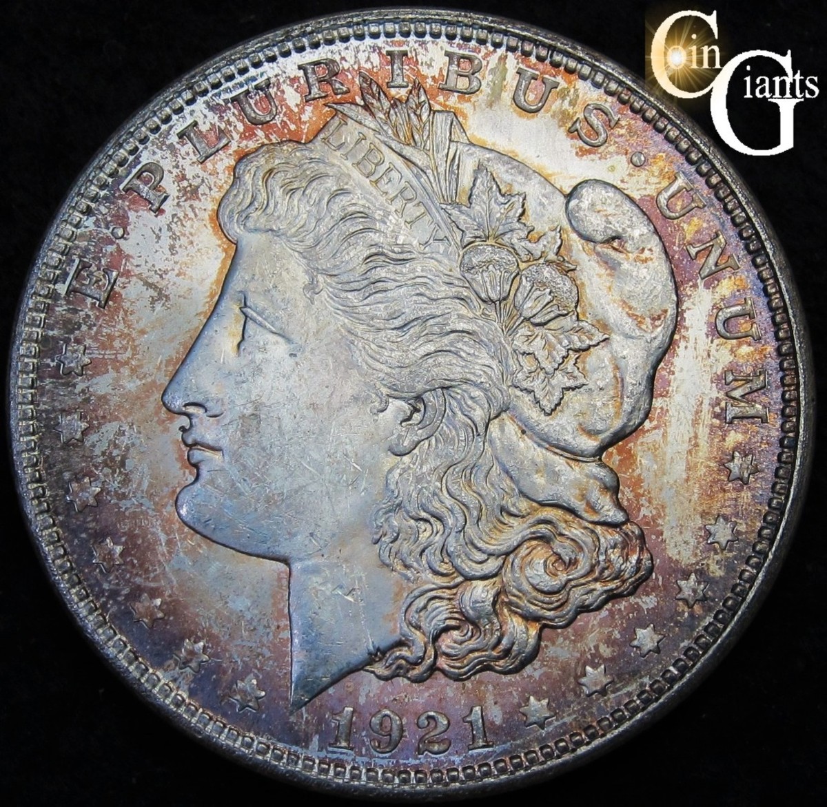ブラシ　シルバー【アンティーク】バーミンガム　1921年製 (947) 1921-P Morgan Dollar VAM-1E Pitted Wreath Bow HOT 50 Double Sided