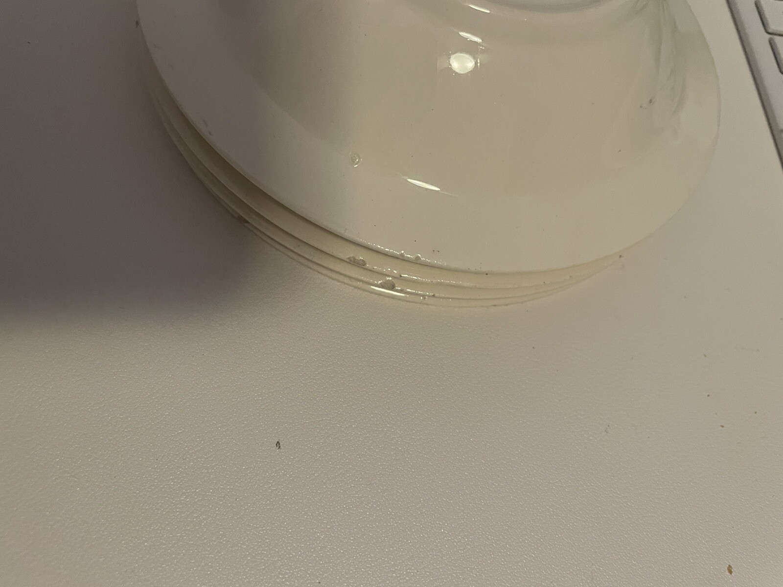 Picture 10 of 13