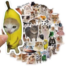 100PCS Cat Meme Stickers Pack Funny Vinyl Decals Laptop Skateboard Water Bottle