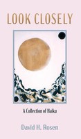 David H. Rosen | Look Closely | Buch | Englisch (2019) | Gebunden