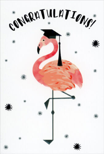 Graduation Greeting Card Design Celebration Party Invitation Congratulations Gra