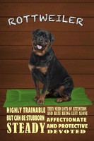 Holzschild 18X12 Cm Rottweiler Hund Highly Trainable Tier Haustier Deko Geschenk