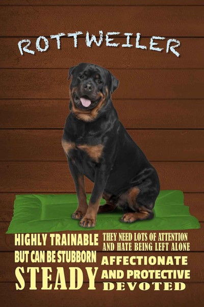 Holzschild 18X12 Cm Rottweiler Hund Highly Trainable Tier Haustier Deko Geschenk-image