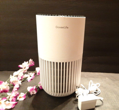 GoveeLife Mini Air Purifier  HEPA Smart Filter Air Purifier w/ App Alexa Control