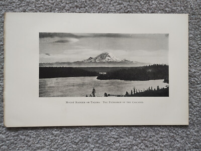 Mount Rainier oder Tacoma - antiker Druck - 1909