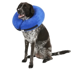 kong donut collar