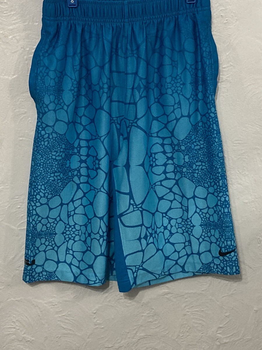 Nike Youth Large Blue Lebron Tamed Allover Print Basketball Shorts Mint Cond