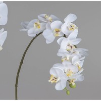 KüNstliche Deko Orchidee Real Touch L. 56Cm Weiß Formano Kunstblumen Wa