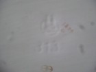 Bild 10 von 10