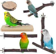 Bird Perches, 6 Pcs Natural Wood Parrot Perch Stand Chew Toys, Hanging Multi
