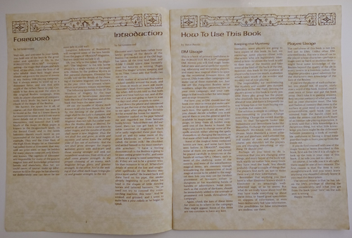 TSR Advanced Dungeons & Dragons FORGOTTEM REALMS Module FR4 - THE MAGISTER 9229 - Picture 9 of 11