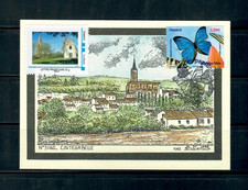 Carte maxi 1er jour "Les papillons"  03/09/2010 n° 4497 TBE + vue CINTEGABELLE