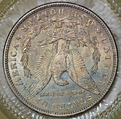 1888 Morgan Silver Dollar BU++++ Crusty Golden Toner - Picture 4 of 6