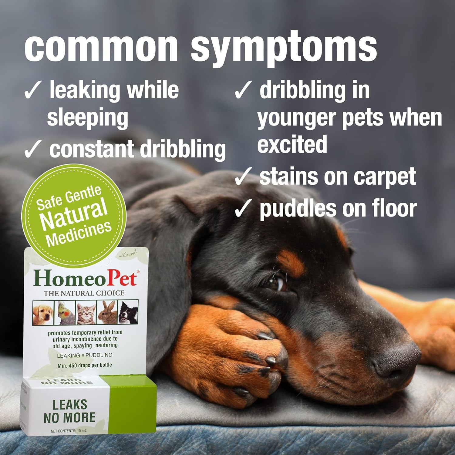 HomeoPet Leaks No More, Safe, Gentle, and Natural Cat Dog Urinary 15ml 