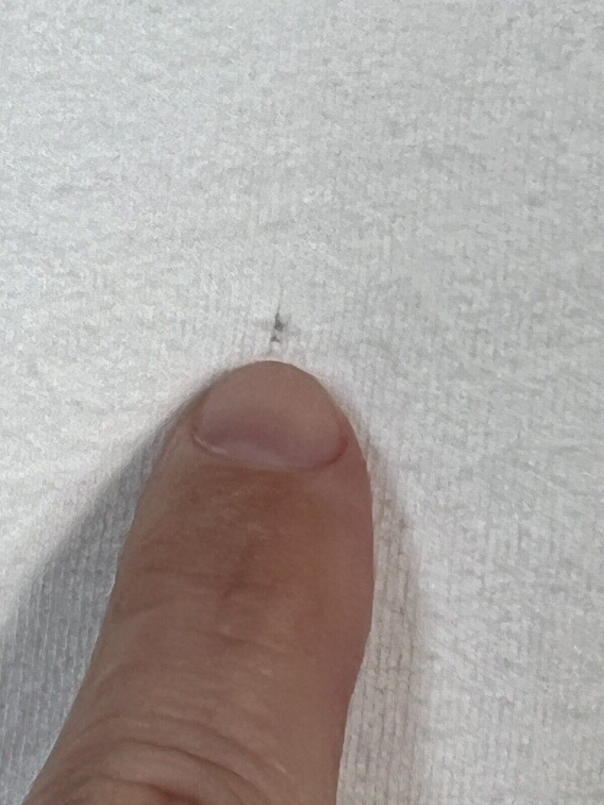 Picture 21 of 24