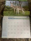 PETA 2025 Wall Calendar - Rescued! Cat Dog Donkey Horse Bunny Duck Chicken Goat — photo 5