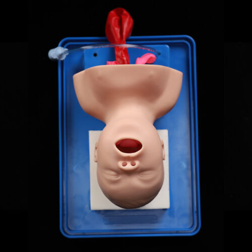 Lab Airway Intubation Manikin Study Infant Model Management Trainer Aid PVC HOT! - Picture 9 of 12