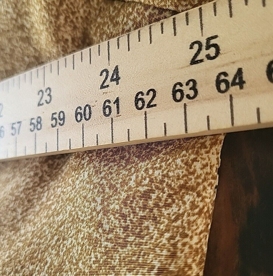 Picture 9 of 12