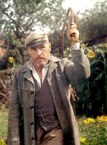 Heimatmuseum (1-3) - nach dem Buch von Siegfried Lenz - mit Mario Adorf (2 DVDs] - Bild 10 von 10