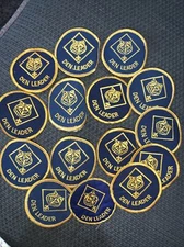Older Style Cub Scout  Den Leader Boy Scout Patch See Description