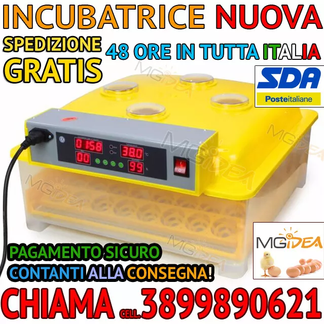 Foto 1 di 12