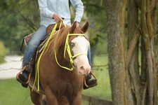 HORSE Size Safety Yellow HALTER BRIDLE w BIT HANGERS & REINS/ Beta Biothane